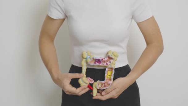 拿着科伦人体解剖学模型的女人结肠癌 大肠癌 溃疡性结肠炎 结肠炎 肠易激综合征 消化系统和健康概念 — 图库视频影像
