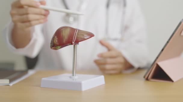 Doctor Con Modelo Humano Hígado Cáncer Hígado Tumor Ictericia Hepatitis — Vídeo de stock