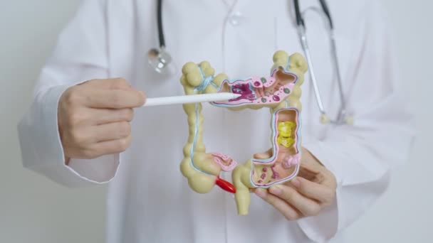 Arzt Mit Humanem Anatomiemodell Des Dickdarms Und Tablette Darmkrankheit Dickdarmkrebs — Stockvideo