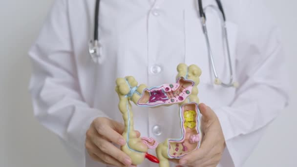 Doutor Com Modelo Tablet Anatomia Cólon Humano Doença Colónica Intestino — Vídeo de Stock