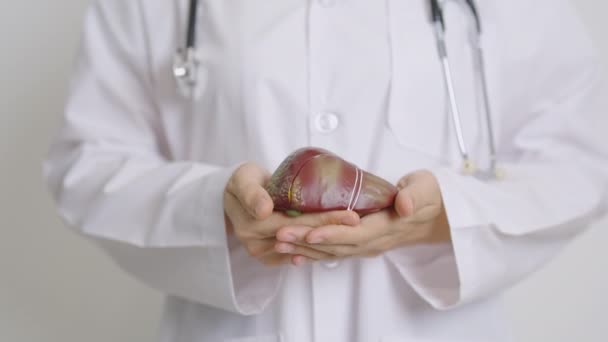 Doctor Con Modelo Humano Hígado Cáncer Hígado Tumor Ictericia Hepatitis — Vídeos de Stock