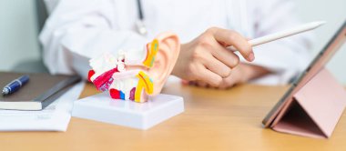 İnsan kulağı anatomisi tabletli bir doktor. Kulak hastalığı, Atresia, Otitis Media, Pertorated Eardrum, Meniere sendromu, otolaryngologist, Yaşlanan İşitme Kaybı, Schwannoma ve Sağlık