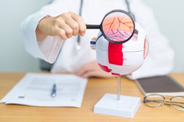 Büyüteçli insan gözü anatomisi modeli olan bir doktor. Göz hastalıkları, Kırılma Hataları, Yaşla İlgili Maküler Dejenerasyon, Katarakt, Diyabetik Retinopati, Glaucoma, Amblyopia, Strabismus ve Sağlık
