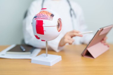 Büyüteçli insan gözü anatomisi modeli olan bir doktor. Göz hastalıkları, Kırılma Hataları, Yaşla İlgili Maküler Dejenerasyon, Katarakt, Diyabetik Retinopati, Glaucoma, Amblyopia, Strabismus ve Sağlık