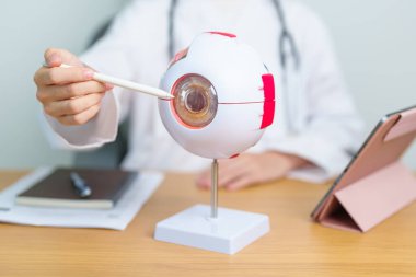 Büyüteçli insan gözü anatomisi modeli olan bir doktor. Göz hastalıkları, Kırılma Hataları, Yaşla İlgili Maküler Dejenerasyon, Katarakt, Diyabetik Retinopati, Glaucoma, Amblyopia, Strabismus ve Sağlık