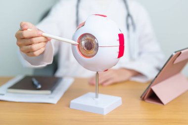 Doctor with human Eye anatomy model with magnifying glass. Eye disease, Refractive Errors, Age Related Macular Degeneration, Cataract, Diabetic Retinopathy, Glaucoma, Amblyopia, Strabismus and Health clipart