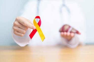 Kırmızı ve sarı kurdeleli doktor ve insan karaciğer anatomisi modeli. Dünya hepatit günü, 28 Temmuz, Karaciğer kanseri farkındalığı ayı, sarılık, siroz, başarısızlık, büyüme, Hepatik Ensefalopati ve Sağlık