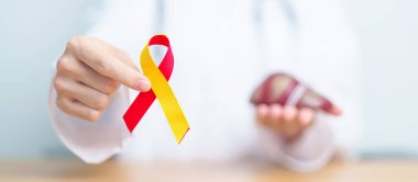 Kırmızı ve sarı kurdeleli doktor ve insan karaciğer anatomisi modeli. Dünya hepatit günü, 28 Temmuz, Karaciğer kanseri farkındalığı ayı, sarılık, siroz, başarısızlık, büyüme, Hepatik Ensefalopati ve Sağlık
