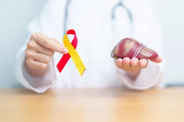 Doctor with Red and Yellow ribbon and human Liver anatomy model. World hepatitis day, 28 July, Liver cancer awareness month, Jaundice, Cirrhosis, Failure, Enlarged, Hepatic Encephalopathy and Health