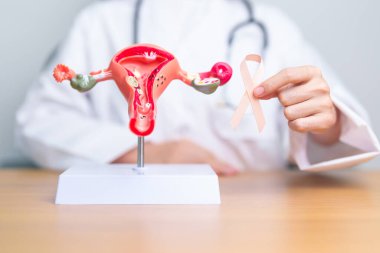 Doktor, Eylül ayı rahim kanseri farkındalığı ayı için şeftali ve yumurtalık modelli kurdele tutuyor. Endometriyozis, Histektomi, Rahim fibroidi, Üreme, Sağlık ve Dünya Kanser Günü