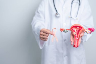 Doktor, Eylül ayı rahim kanseri farkındalığı ayı için şeftali ve yumurtalık modelli kurdele tutuyor. Endometriyozis, Histektomi, Rahim fibroidi, Üreme, Sağlık ve Dünya Kanser Günü