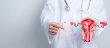 Doktor, Eylül ayı rahim kanseri farkındalığı ayı için şeftali ve yumurtalık modelli kurdele tutuyor. Endometriyozis, Histektomi, Rahim fibroidi, Üreme, Sağlık ve Dünya Kanser Günü