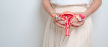 Woman holding Uterus and Ovaries model. Ovarian and Cervical cancer, Endometriosis, Hysterectomy, Uterine fibroids, Reproductive, menstruation, Stomach, Pregnancy and Sexual Transmitted disease clipart