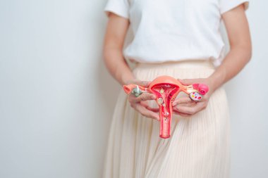 Woman holding Uterus and Ovaries model. Ovarian and Cervical cancer, Endometriosis, Hysterectomy, Uterine fibroids, Reproductive, menstruation, Stomach, Pregnancy and Sexual Transmitted disease clipart