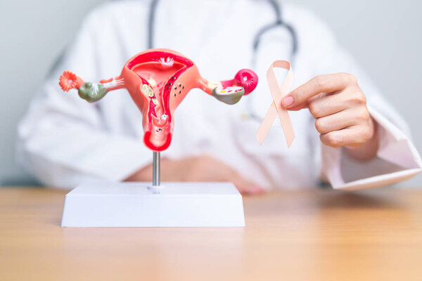 Доктор держит персиковую ленту с моделью матки и яичников для сентябрьского месяца информирования о раке матки. Эндометриоз, гистерэктомия, миома матки, репродуктивный, здравоохранение и Всемирный день рака