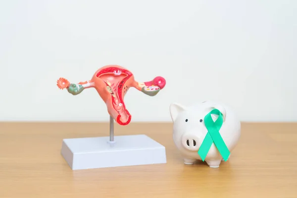 September Ovarian cancer Awareness month. Uterus model and Teal Ribbon with Piggy Bank for support illness life. Health, Donation, Charity, Campaign, Money Saving, Fund and World cancer day concept