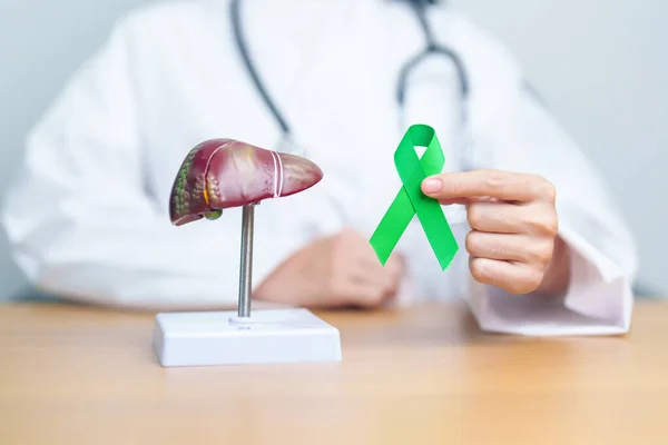 Doctor with green ribbon and human Liver anatomy model. Liver cancer October awareness month, Tumor, Jaundice, Virus Hepatitis, Cirrhosis, Failure, Enlarged, Hepatic Encephalopathy, and health concept