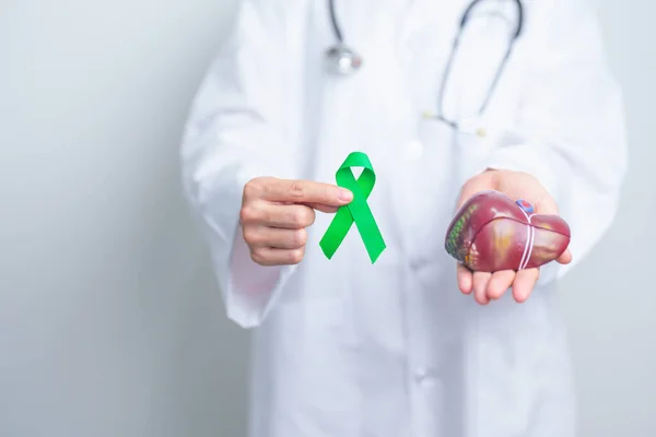 Doctor with green ribbon and human Liver anatomy model. Liver cancer October awareness month, Tumor, Jaundice, Virus Hepatitis, Cirrhosis, Failure, Enlarged, Hepatic Encephalopathy, and health concept