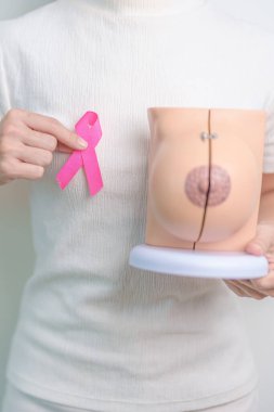 Pembe Ekim Göğüs Kanseri Bilinci Ayı, pembe kurdele ve göğüs anatomisi modeli olan kadın. Ulusal kanser kurtulanlar ayı, sağlık teşhisi, Anne ve Dünya Kanser Günü konsepti