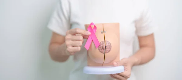 Pink October Breast Cancer Awareness month, woman with pink Ribbon and Breast Anatomy model. National cancer survivors month, health diagnosis, Mother and World cancer day concept
