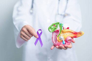 Pankreas kanseri, Pankreas kanseri, Pankreas hastalığı, Pankreas iltihabı, Sindirim Sistemi, Dünya Kanser Günü ve Sağlık Konseptini desteklemek için Mor Kurdele tutan doktor