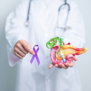 Pankreas kanseri, Pankreas kanseri, Pankreas hastalığı, Pankreas iltihabı, Sindirim Sistemi, Dünya Kanser Günü ve Sağlık Konseptini desteklemek için Mor Kurdele tutan doktor