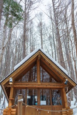 Furano Ningle Terası 'ndaki ormanda kar mevsiminde güzel bir kır evi. Japonya 'nın Hokkaido şehrinde önemli ve popüler bir yer. Seyahat ve Tatil kavramı