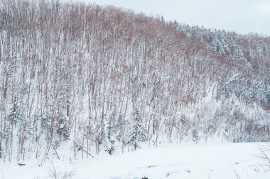 Kış mevsiminde kar ile Biei Blue Pond. Japonya 'nın Hokkaido şehrinde önemli ve popüler bir yer. Seyahat ve Tatil kavramı