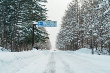 Kış mevsiminde araba sürerken güzel kar yolu orman manzarası. Kış yolculuğu, Yolculuk, Macera, Keşif ve Tatil Konseptleri