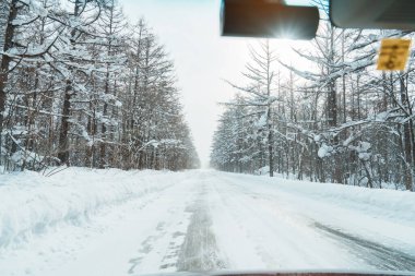 Kış mevsiminde araba sürerken güzel kar yolu orman manzarası. Kış yolculuğu, Yolculuk, Macera, Keşif ve Tatil Konseptleri