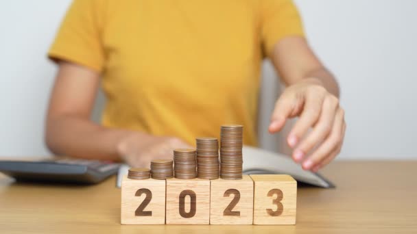 2024 Blokk Érmékkel Pénz Költségvetés Adó Beruházás Pénzügyi Megtakarítási Újévi — Stock videók