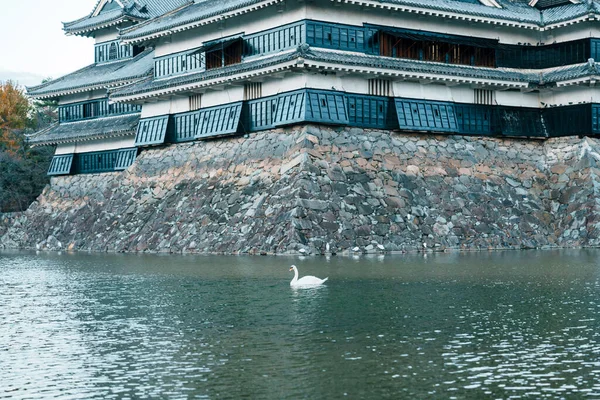 White Swam with Matsumoto Castle or Crow Castle, is one of Japanese premier historic castles in easthern Honshu. Landmark and popular for tourists attraction in Matsumoto city, Nagano, Japan