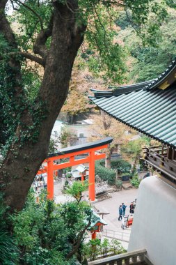 Enoshima Tapınağı. Tokyo yakınlarındaki turistler için önemli ve popüler bir yer. Kanagawa, Japonya, 16 Kasım 2023