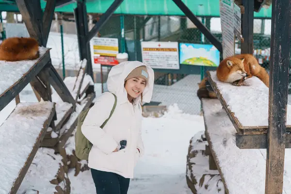 Woman tourist with Cute fox on snow in winter season at Zao fox village, traveler sightseeing Miyagi prefecture. landmark and popular for attraction near Sendai, Tohoku, Japan. Travel and Vacation