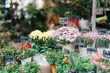 Ameyoko 'da çiçekçi dükkanı. Ueno 'daki turistik merkezin simgesi. Tokyo, Japonya, 18 Kasım 2023
