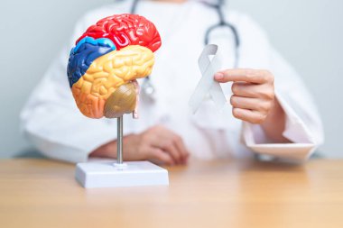 Gri kurdeleli bir doktor ve insan beyni anatomisi modeli. Beyin Kanseri Bilinci Mayıs, Dünya Beyin Tümörü Günü, Beyin Felci, Bunama, Alzheimer, Parkinson ve Dünya Akıl Sağlığı Konsepti