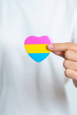 Panseksüel Onur Günü ve LGBT gurur ayı konsepti. Lezbiyen, Gey, Biseksüel, Transseksüel, Eşcinsel ve Panseksüel Topluluğu için pembe, sarı ve mavi kalp şeklinde el ele tutuşmalar