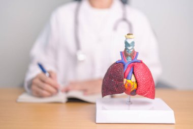 Hastalıklar için Solunum Sistemi Anatomisi Doktoru. Akciğer kanseri, astım, kronik obstrüktif pulmoner ya da KOAH, bronşit, amfizem, kistik fibrozis, bronşizektazi, zatürree ve plevral efüzyon.