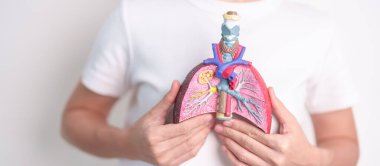 Kadın, sigara içen anatomisine sahip. Akciğer kanseri, astım, kronik obstrüktif pulmoner ya da KOAH, bronşit, amfizem, kistik fibrozis, bronşizektazi, zatürree ve dünya akciğer günü konsepti.