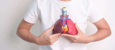 Kadın solunum sistemi anatomisini tutuyor. Akciğer kanseri, astım, kronik obstrüktif pulmoner ya da KOAH, bronşit, amfizem, kistik fibrozis, bronşizektazi, zatürree ve plevral efüzyon.
