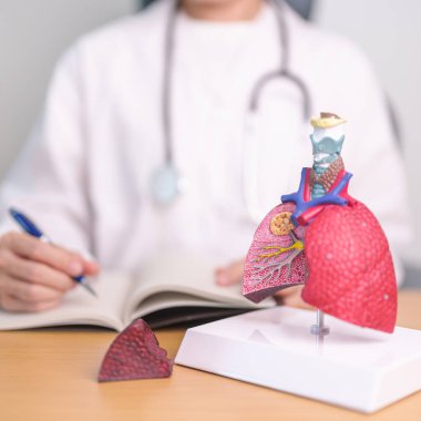 Sigara içen doktor ve normal akciğer anatomisi. Akciğer kanseri, astım, kronik obstrüktif akciğer veya KOAH, bronşit, amfizem, kistik fibrozis, bronşizesis, zatürree ve dünya akciğer günü.