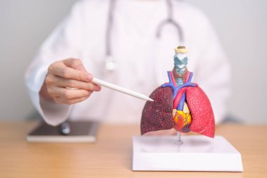 Doktor Point Smoker Lung Hastalığı için anatomi. Akciğer kanseri, astım, kronik obstrüktif akciğer veya kronik akciğer enfeksiyonu, bronşit, amfizem, kistik fibrozis, bronşizektazi, zatürree ve Eylül ayındaki dünya akciğer günü.