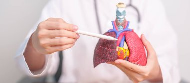 Doktor Noktalı Kalp Kardiyovasküler ve Solunum Anatomisi Hastalığı. Akciğer kanseri, astım, kronik obstrüktif akciğer veya kronik akciğer kanseri, bronşit, amfizem, kistik fibrozis, bronşiektazi, zatürree.