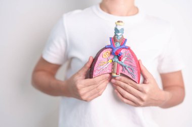 Kadın, sigara içen anatomisine sahip. Akciğer kanseri, astım, kronik obstrüktif pulmoner ya da KOAH, bronşit, amfizem, kistik fibrozis, bronşizektazi, zatürree ve dünya akciğer günü konsepti.