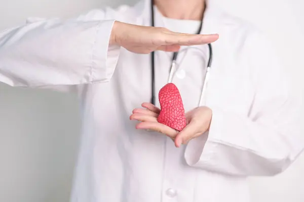 stock image Doctor hand cover Lung anatomy. Lung Cancer, Asthma, Chronic Obstructive Pulmonary or COPD, Bronchitis, Emphysema, Cystic Fibrosis, Bronchiectasis, Pneumonia. world Lung day and Health Insurance