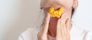 Boynuyla insan tiroit anatomisi modeli tutan bir kadın. Hipertiroidizm, Hipotiroidizm, Hashimoto Thyroiditis, Tiroid Tümör ve Kanser, Doğum Sonrası, Papillary Karsinom ve Sağlık Konsepti