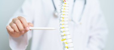 İnsan omurga anatomisi modeli olan bir doktor. Omurilik Bozukluğu ve Hastalık, Sırt Ağrısı, Lumbar, Sacral leğen kemiği, Servikal Boyun, Torasik, Coccyx, Ortopedi, Masaj, Ofis Sendromu ve Sağlık Sendromu