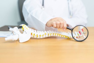 İnsan omurga anatomisi modeli olan bir doktor. Omurilik Bozukluğu ve Hastalık, Sırt Ağrısı, Lumbar, Sacral leğen kemiği, Servikal Boyun, Torasik, Coccyx, Ortopedi, Masaj, Ofis Sendromu ve Sağlık Sendromu