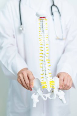 İnsan omurga anatomisi modeli olan bir doktor. Omurilik Bozukluğu ve Hastalık, Sırt Ağrısı, Lumbar, Sacral leğen kemiği, Servikal Boyun, Torasik, Coccyx, Ortopedi, Masaj, Ofis Sendromu ve Sağlık Sendromu