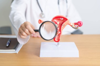 Rahim, yumurtalık, anatomi ve büyüteç kullanan bir doktor. Yumurtalık ve rahim ağzı kanseri, rahim ağzı rahatsızlığı, endometriyozis, histerektomi, rahim fibroidi, üreme sistemi, hamilelik.